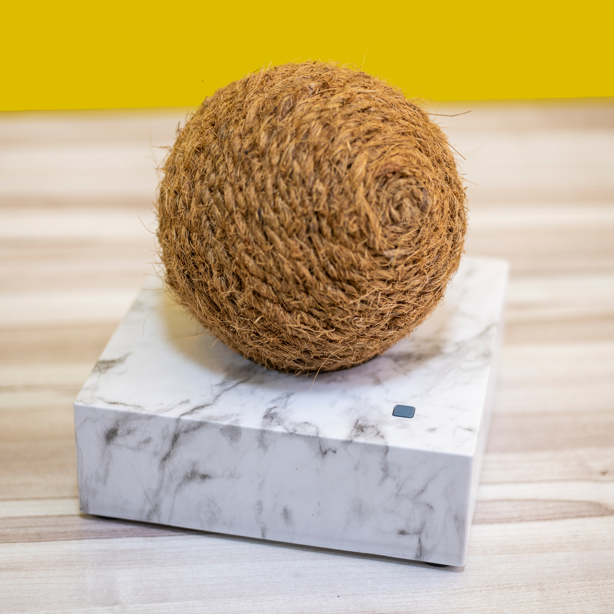 Exploring the Evolution of Hotel Amenities: From Conventional to Eco-Friendly
